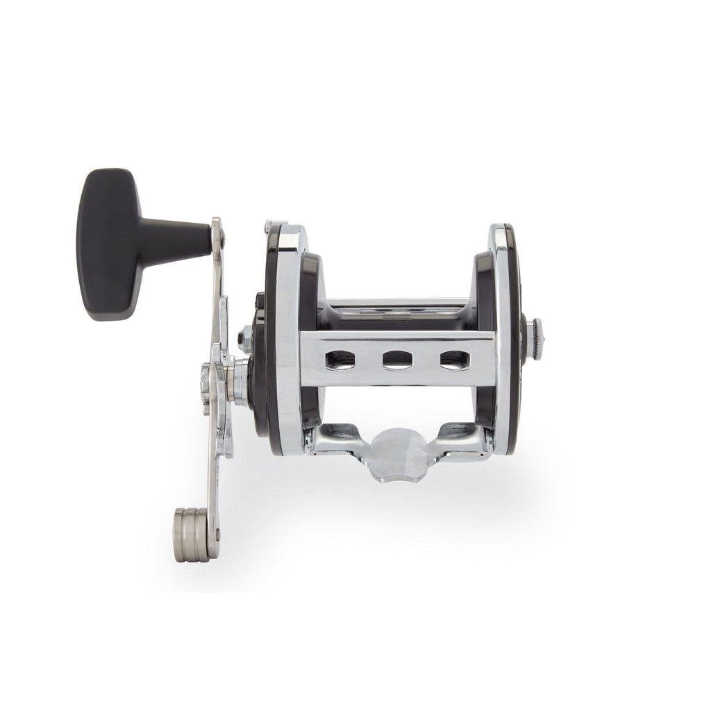 Jigmaster® Star Drag Conventional Reel