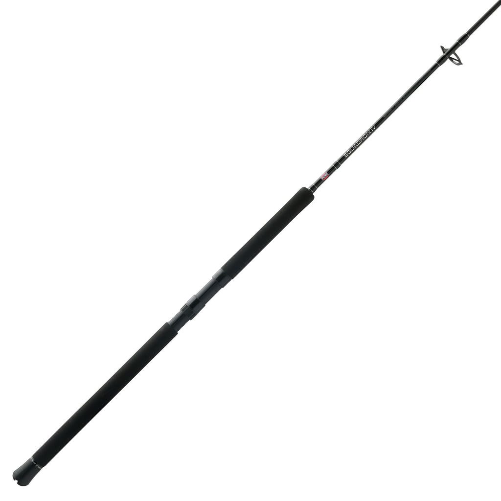 Squadron® IV Jig Spinning Rod